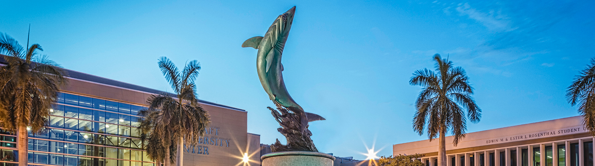 taft center shark fountain