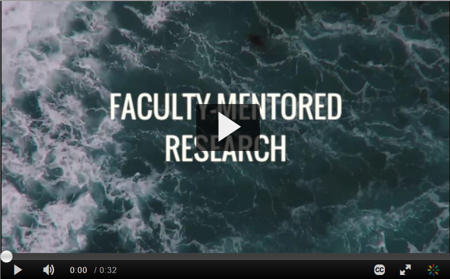 faculty-mentored-cover.JPG