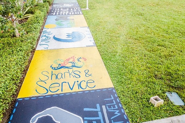 Sharks and Service NSU organizations on campus