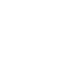 icon of a certificate