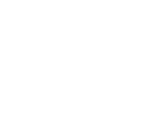 icon of a network with a $