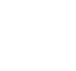 icon of network around a person’s head